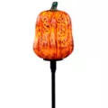 Light-Up LED Spooky Pumpkin Pathway Markers at Spencer's