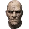 The Mummy Full Mask - Universal Monsters at Spirit Halloween