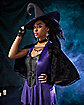 Adult Wicked Spell Caster Witch Costume