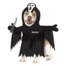 Pet Costumes