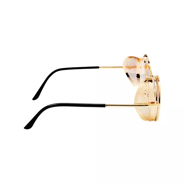 Steampunk Glasses at Spencer's