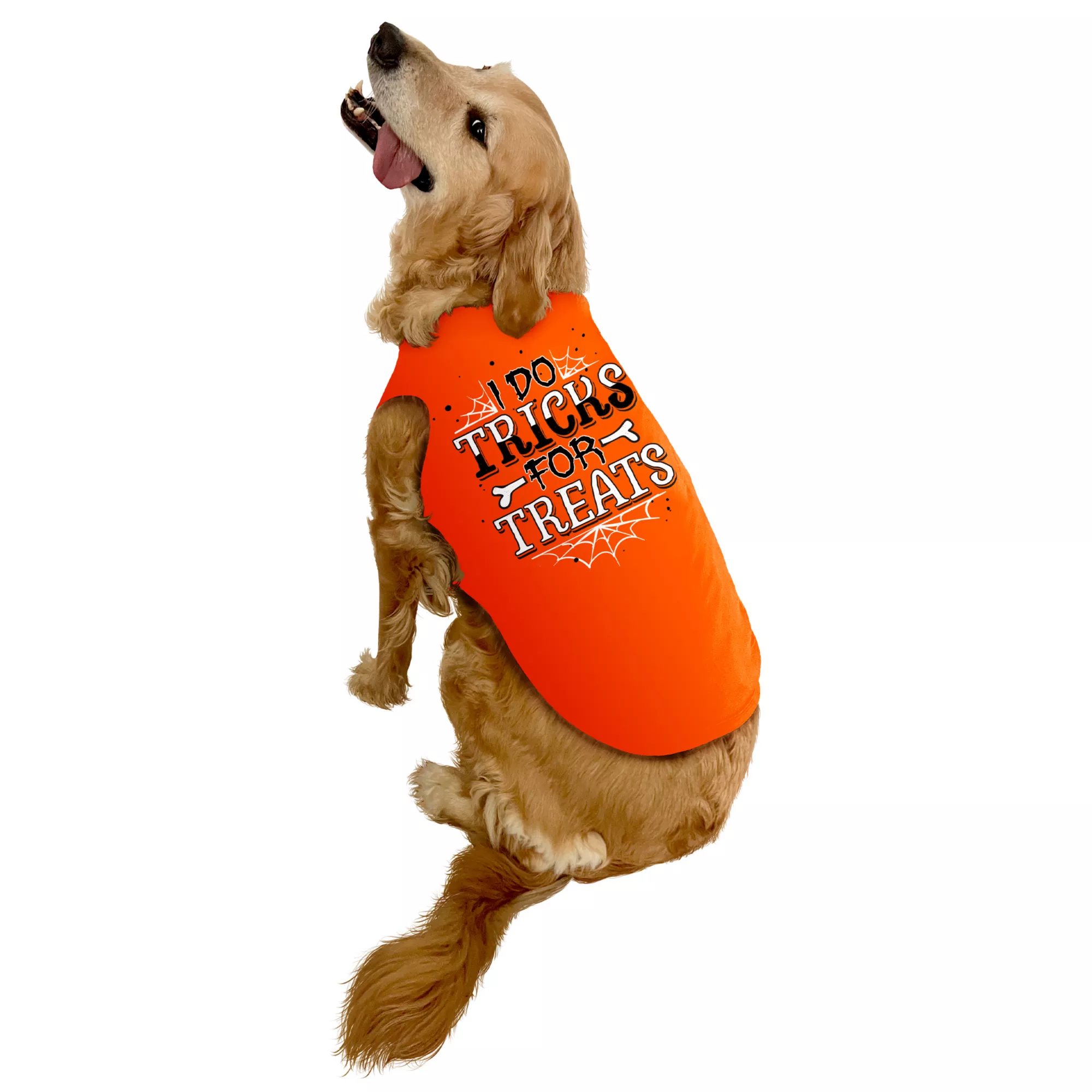 Tricks for Treats Pet Costume at Spirit Halloween