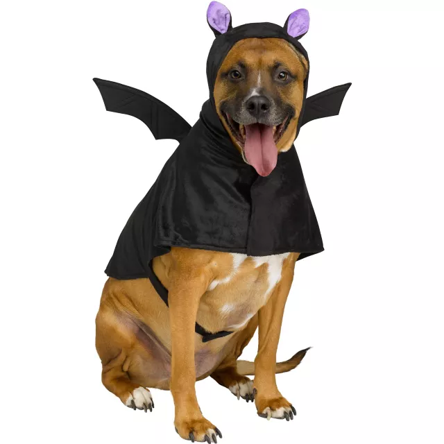 Bat Pet Costume - Spirithalloween.com