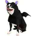 Bat Pet Costume at Spencer's