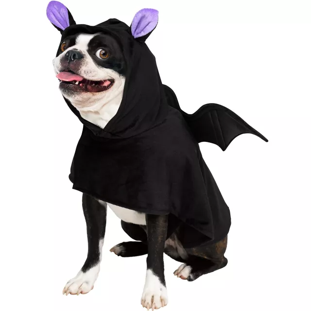 Bat Pet Costume - Spirithalloween.com