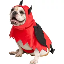Devil Pet Costume at Spencer's
