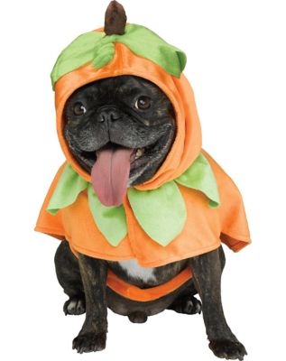 Pumpkin Pet Costume - Spirithalloween.com