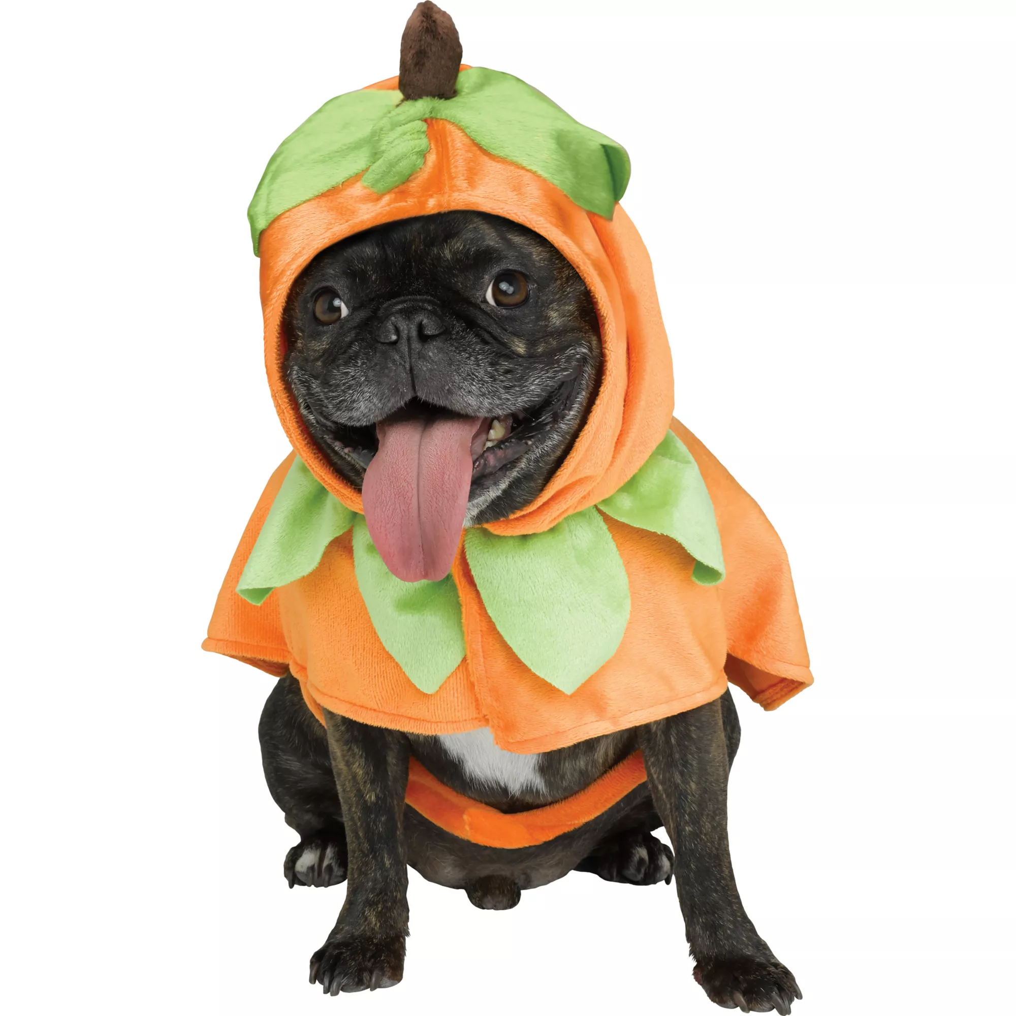 Pumpkin Pet Costume at Spencer's