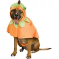 Pumpkin Pet Costume at Spencer's
