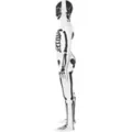Black and White Skeleton Skin Suit Costume at Spirit Halloween