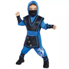 Toddler Ultimate Ninja Costume at Spirit Halloween