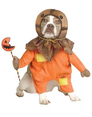 Sam Pet Costume - Trick 'r Treat - Spirithalloween.com