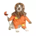 Sam Pet Costume - Trick 'r Treat at Spirit Halloween