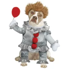 Pennywise Pet Costume - It at Spirit Halloween