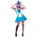 Adult Alice Down the Rabbit Hole Costume at Spirit Halloween