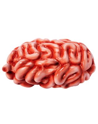 Intestines Prop