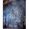 9 Ft Black Rope Spider Web Decoration at Spencer's