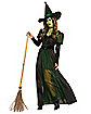 Adult Wicked Witch Costume - The Wizard of Oz