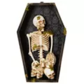 Gothic Noir Skeleton Coffin Sign at Spencer's