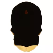 Gothic Noir Skull Wall Décor- 3 Pack at Spirit Halloween