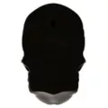Gothic Noir Skull Wall Décor- 3 Pack at Spirit Halloween