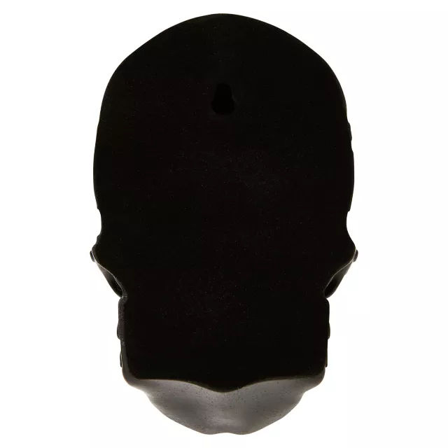 Gothic Noir Skull Wall Décor- 3 Pack at Spirit Halloween