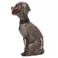 Zombie Dog at Spirit Halloween