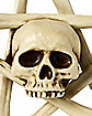 Skull and Bones Pentgram