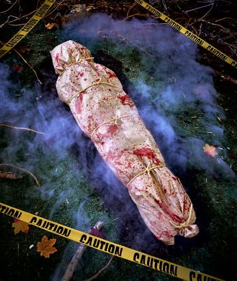 Bloody Chop Shop Décor