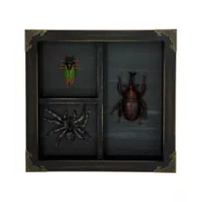 Mystical Arts Insect Sign at Spencer's