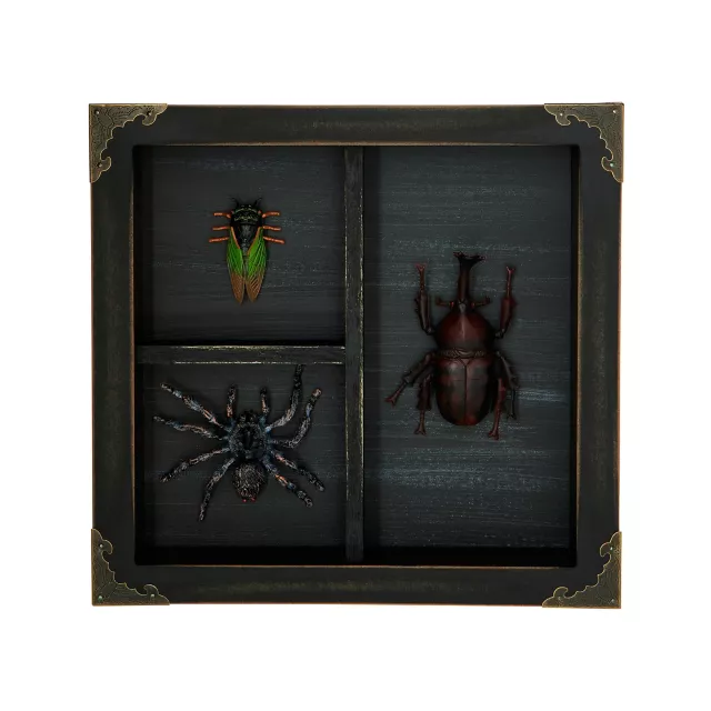 Mystical Arts Insect Sign at Spencer's