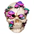 Mystical Arts Mushroom Skull at Spirit Halloween