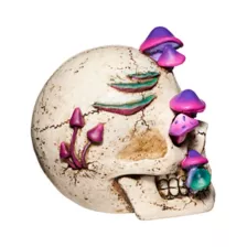 Mystical Arts Mushroom Skull at Spirit Halloween