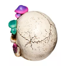 Mystical Arts Mushroom Skull at Spirit Halloween