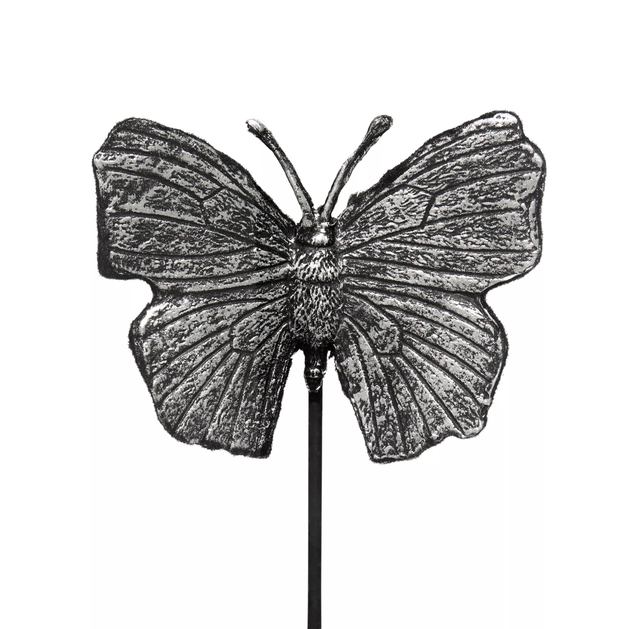 Mystical Arts Butterfly Dome Decoration at Spencer's