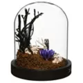 Mystical Arts Graveyard Terrarium Decoration at Spencer's