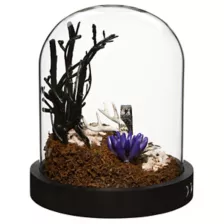 Mystical Arts Graveyard Terrarium Decoration at Spencer's