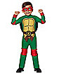 Toddler Raphael Costume - Teenage Mutant Ninja Turtles