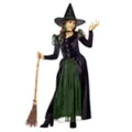 Kids Wicked Witch Costume - Wizard of Oz at Spirit Halloween
