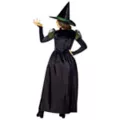 Kids Wicked Witch Costume - Wizard of Oz at Spirit Halloween
