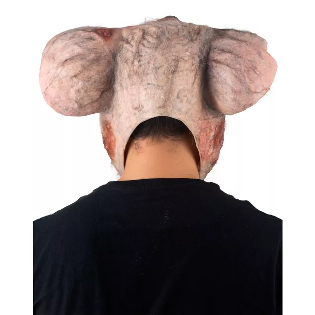 Lab Rat Full Mask at Spencer's