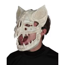 Skeletal Bat Half Mask at Spirit Halloween