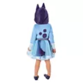 Toddler Girls Bluey Costume at Spencer's