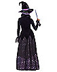 Adult Signature Witch Costume - The Signature Collection