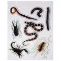 Bug Gel Clings - 2 Pack at Spencer's