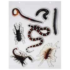 Bug Gel Clings - 2 Pack at Spencer's