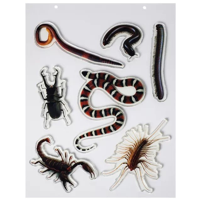Bug Gel Clings - 2 Pack at Spencer's