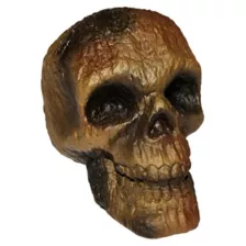 Burnt Skull at Spencer's