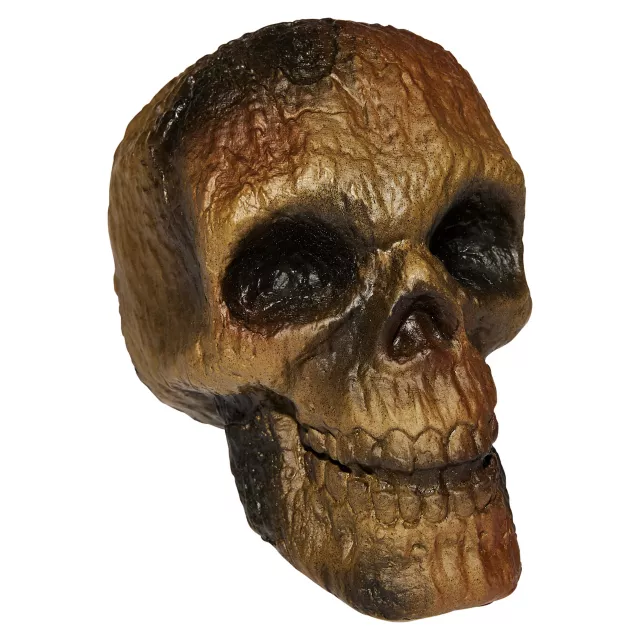 Burnt Skull at Spencer's