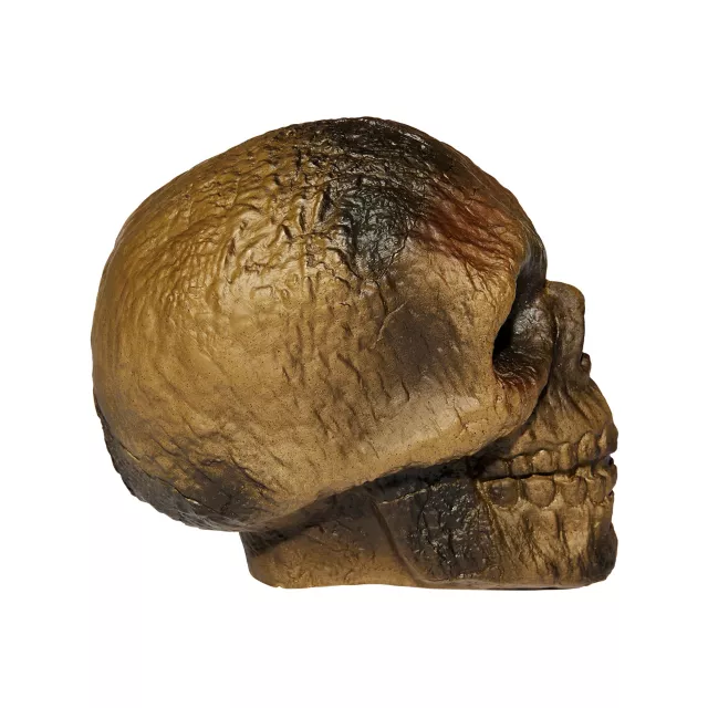 Burnt Skull at Spencer's